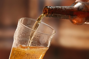 Recenzija niskobuđetnih piva