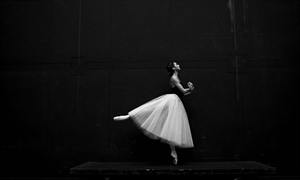 Prima Ballerina showcase